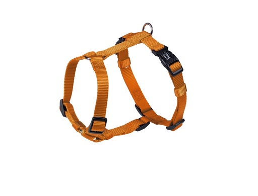 [NB7316504] Harnas "Klassiek" borst: 20/35 cm; b: 10 mm oranje