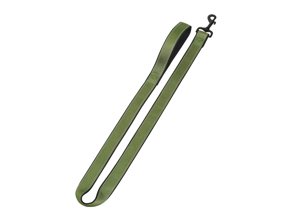 Lijn "Classic Reflect SOFT" l: 120 cm; b: 15/20 mm pastel groen/zwart