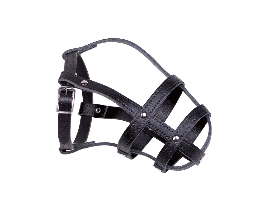 Leren snuit maat 4; 29/37 cm zwart