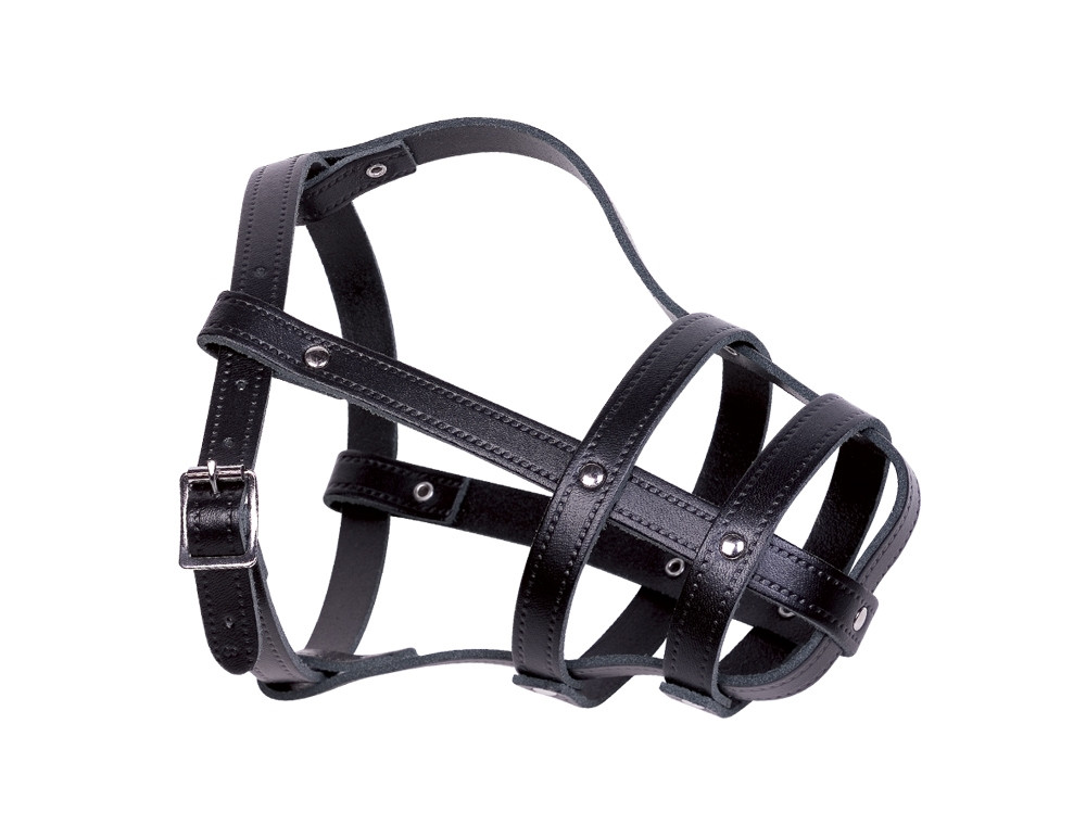 Leren snuit maat 6; 36/44 cm zwart