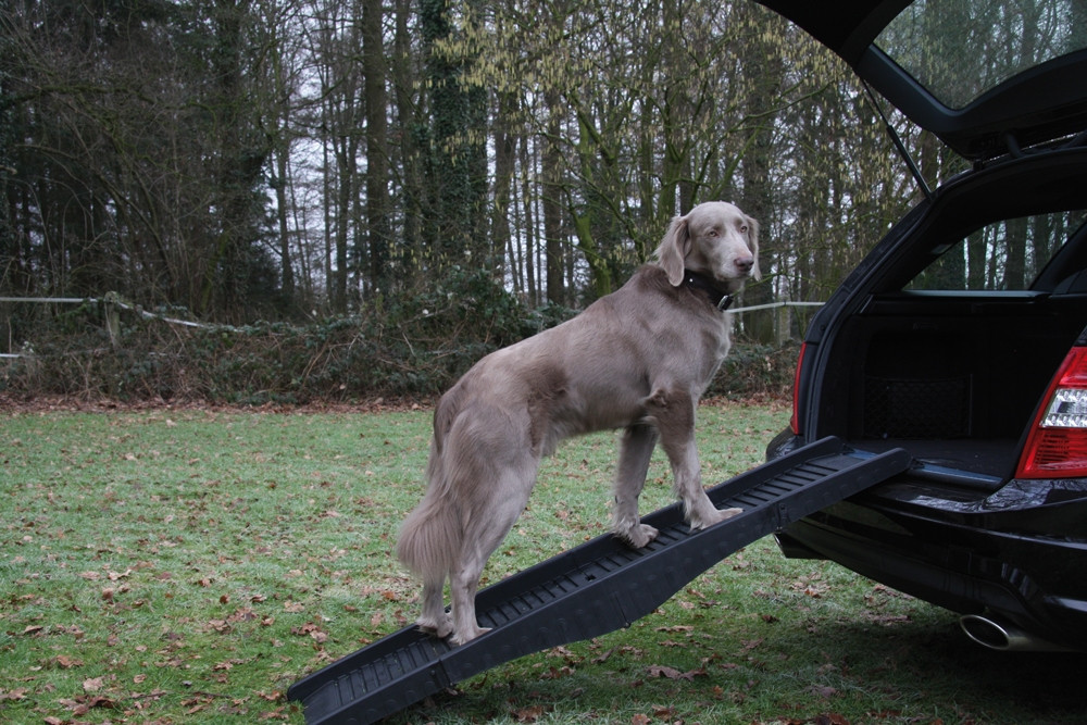 Honden oprit l x w: 40 x 1,52 cm 