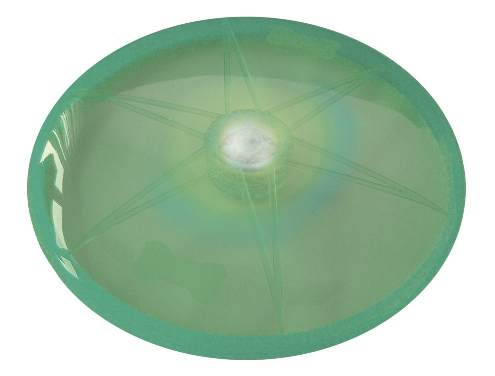 LED-schijf "FLASH"  15 cm groen