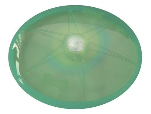 [NB77043] LED-schijf "FLASH"