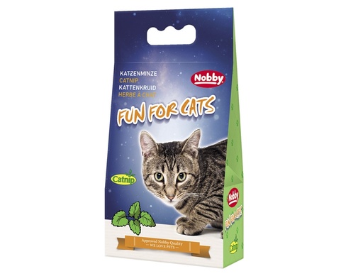 [NB77501] Kattenkruid