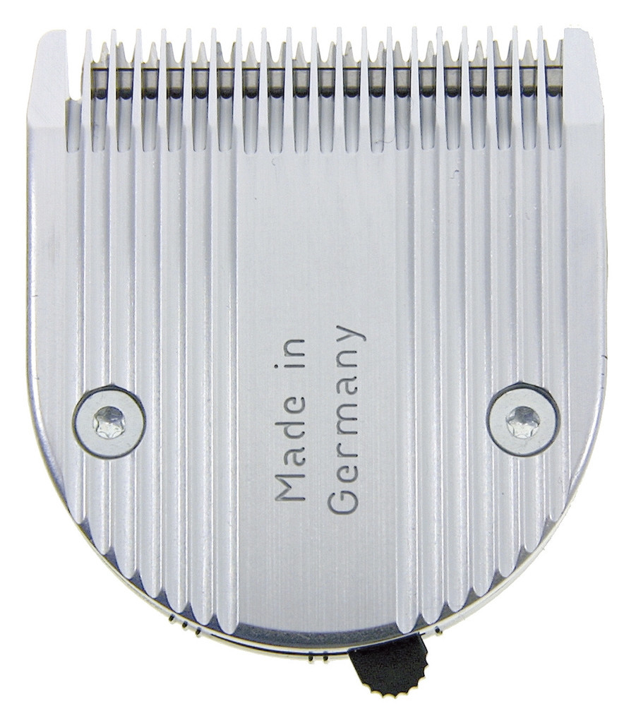 Grove tandenfrees voor Arco