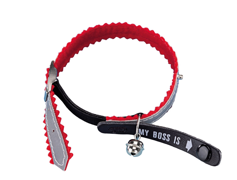 Adres Kattenhalsband "Mijn baas is"  rood