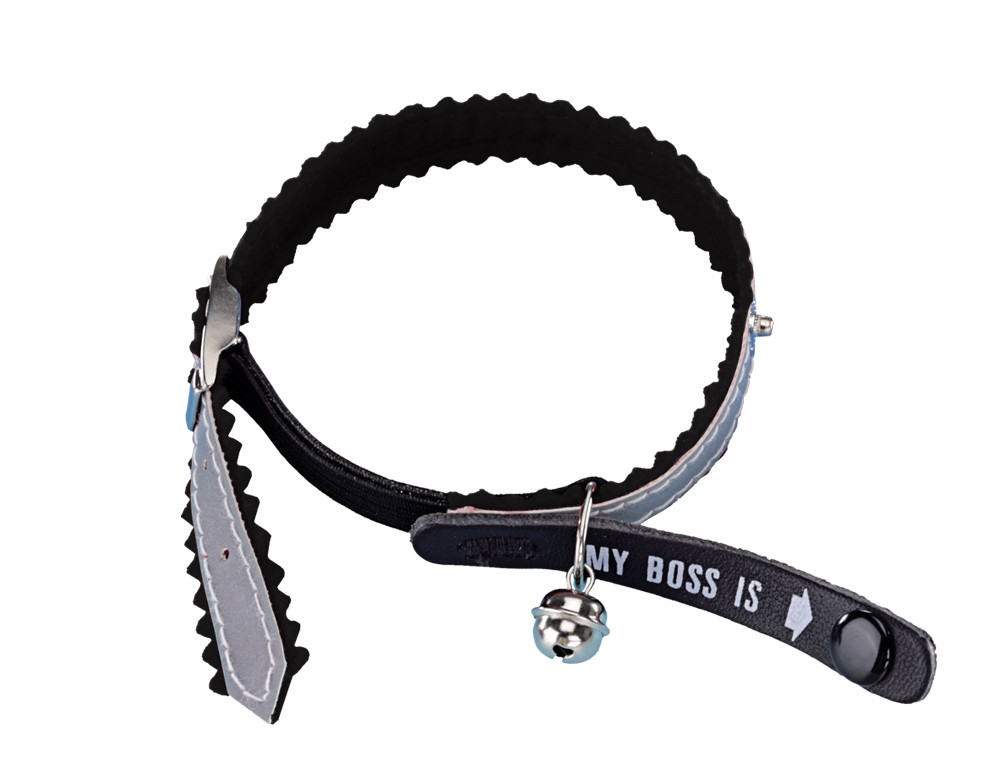 Adres Kattenhalsband "Mijn baas is"  zwart