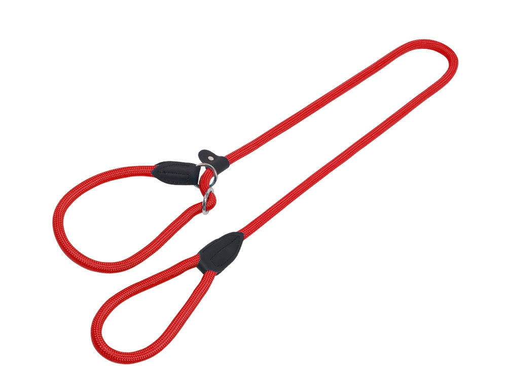 Retrieverriem "FUN ROYAL" l: 170 cm; b: 9 mm rood