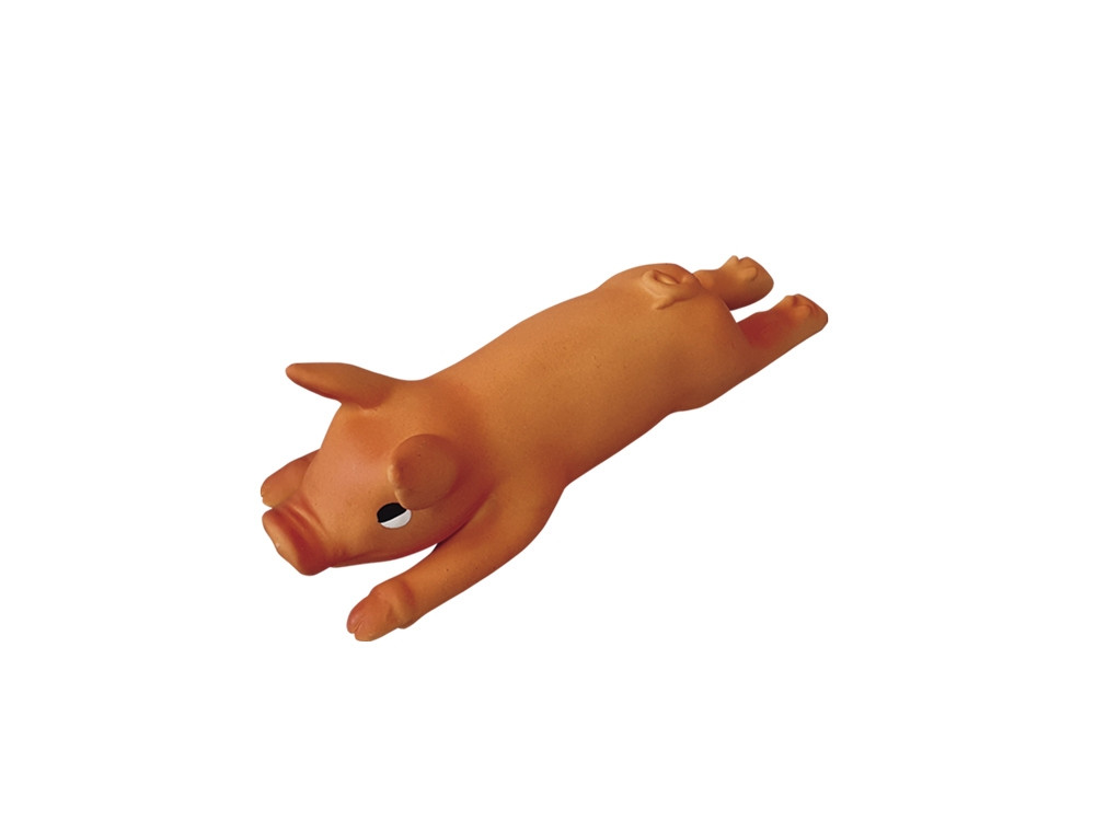 Latex varken