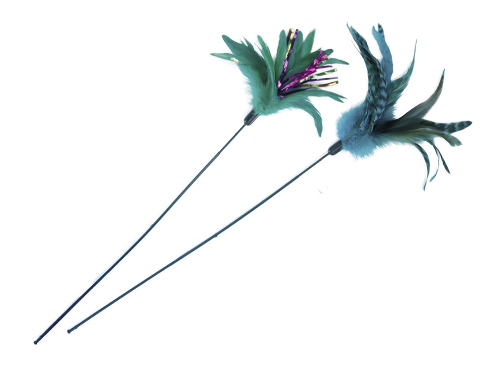 Veren voorkant met veer