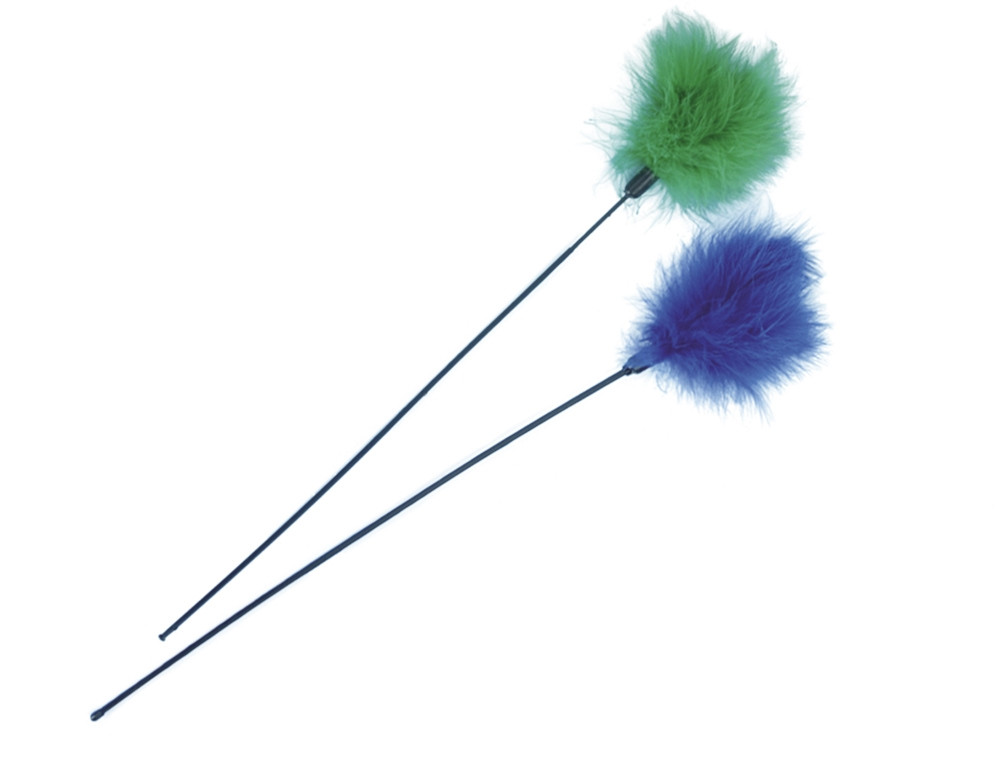 Verenblad met pluisveer