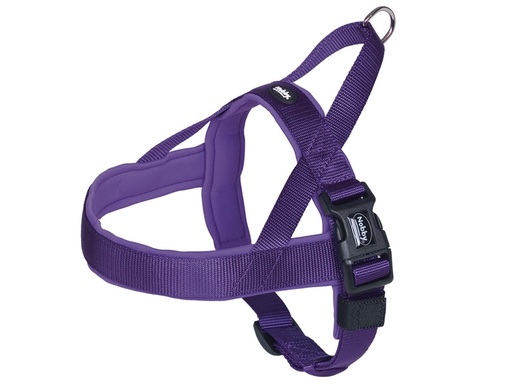 [NB8053138] NOORSE Harnas "Classic Preno" L: 38-50 cm + 36 cm; b: 20/25 mm paars/paars