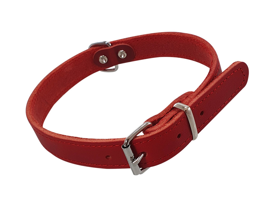 Kraag "TABIL" 52 cm (42-48 cm), 22 mm rood