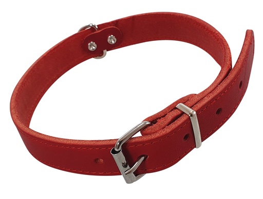 [NB8092401] Kraag "TABIL" 60 cm (46-56 cm), 25 mm rood