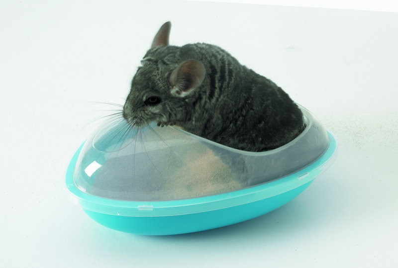 Chinchilla-badhuis