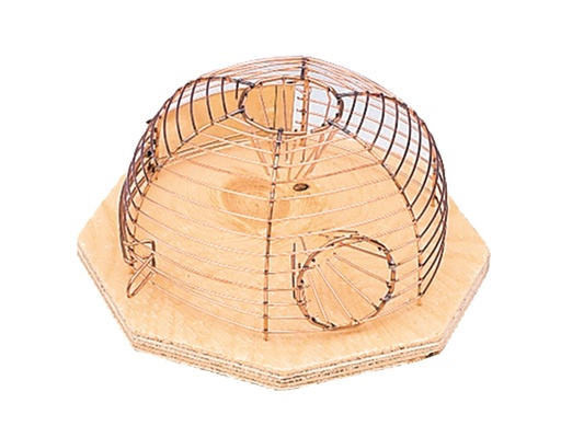 [NB87106] Luna kooival