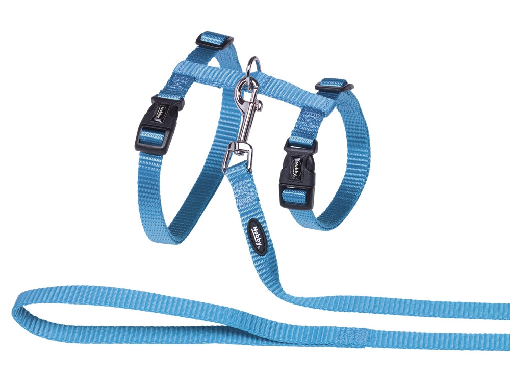 Kattenset XL  turquoise