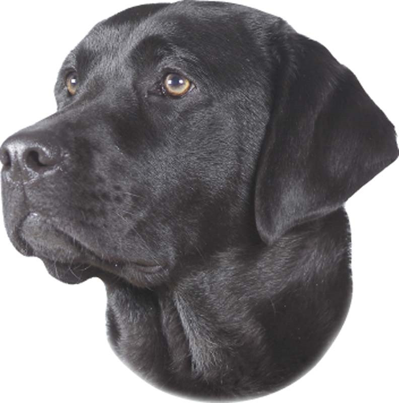 Zwarte labrador-sticker 120 x 150 mm; 2 stuks 