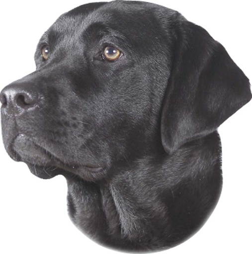 [NB93266] Zwarte labrador-sticker 120 x 150 mm; 2 stuks 