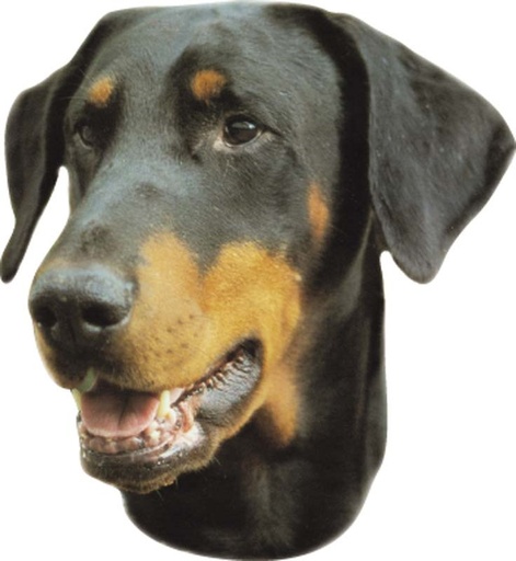 [NB93267] Doberman-stickers