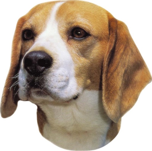 [NB93270] Beagle-stickers