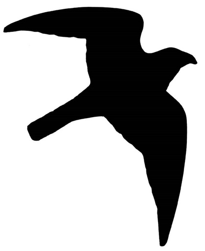 [NB93301] Sticker "roofvogel" 120 x 170 mm; 10 stuks 