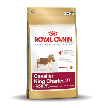 [RC277701] Cavelier King Charles 27 Adult (1.5 kg.)