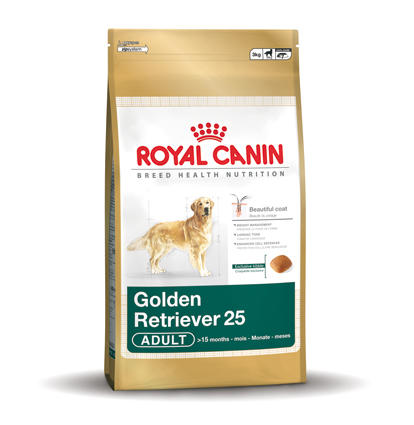 Golden Retriever 25 Adult