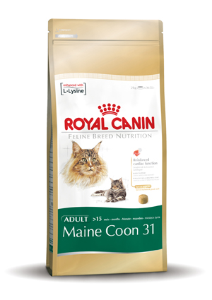 [RC311004] Main Coon 31 (400 gr.)
