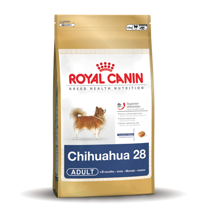 [RC277200] Chihuahua 28 Adult (500 gr.)