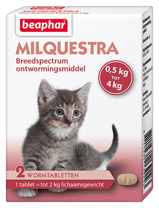 [BP13929] Milquestra Kat Klein en Kitten (2 tab.)